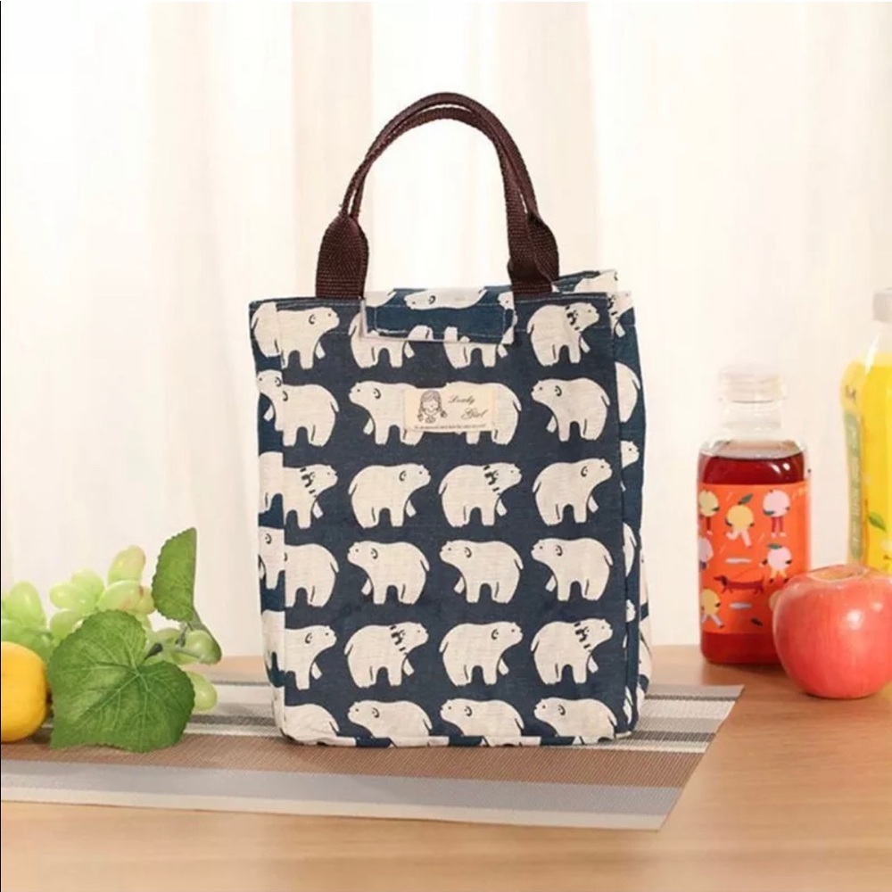 Brand NEW! Lunch bag/picnic bag